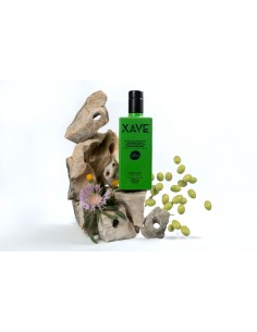 Aceite de Oliva Virgen Extra Cosecha Temprana Multivarietal Jaén 2
